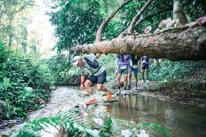 BIB: 
                            <button type="button" onclick="openModal(25443336)" class="btn btn-primary btn-sm float-right btn-popup" data-toggle="modal" data-target=".modal-high-quality">
                        <i class="fas fa-shopping-cart"></i> Add to Cart
                    </button>
                                            <button type="button" onclick="isThisMe(25443336, true)" class="btn btn-success btn-sm float-right btn-popup btn-isme hidden" data-toggle="tooltip" data-placement="bottom" title="นี่คือรูปของคุณใช่ไหม คลิกที่นี่เพื่อเอาเข้าอัลบั้ม">
                        <i class="fas fa-plus"></i> Add to album
                    </button>
                    <button type="button" onclick="isThisMe(25443336, false)" class="btn btn-warning btn-sm float-right btn-popup btn-isnotme hidden">
                        <i class="fas fa-ban"></i> Remove from album
                    </button>